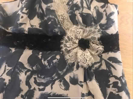 Photo of free Silk dress, size 14 (Hadleigh SS7) #3