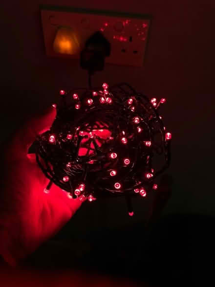 Photo of free Roughly 4m rich red LED light string (Woodley RG5) #1