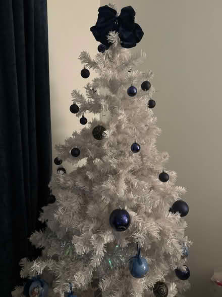 Photo of free Christmas tree (Ellesmere Port) #1