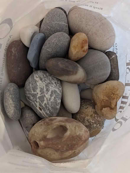 Photo of free Decorative & Interesting Collection of Stones (Weston Park) #1