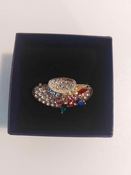 Photo of free Three brooches (St Helens TN35) #4