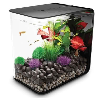 Photo of free Biosphere small fish tank (OX4 near Donnington Bridge) #3