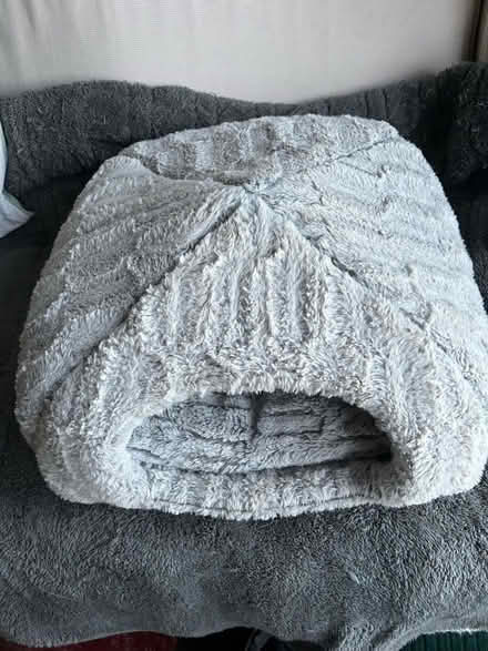 Photo of free Cosy cat bed (Writtle CM1) #1