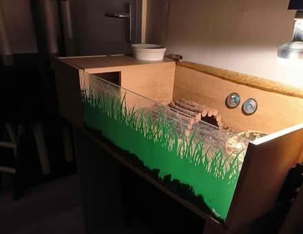 Photo of free Tortoise vivarium (Carlisle (St Ann's)) #1