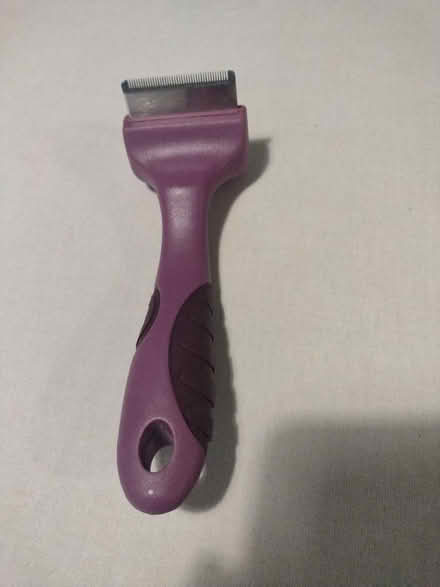 Photo of free Pet flea brush (Ashton-U-Lyne OL6) #1