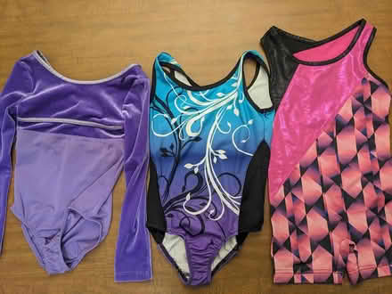 Photo of free Size 4-5 leotards (East Somerville) #1