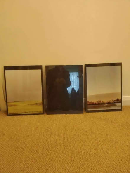 Photo of free Four clip frames (Albert Park M20) #2