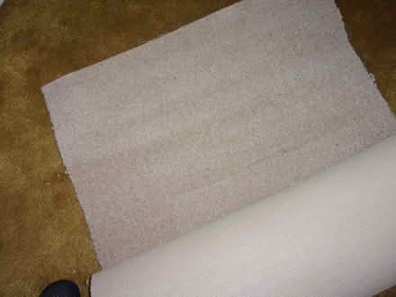 Photo of free Carpet (Keswick CA12) #1