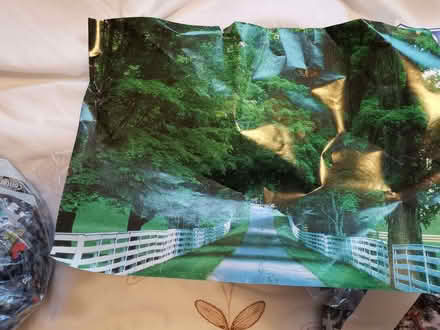 Photo of free A challenge to jigsaw puzzlers (Hextable BR8) #3