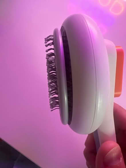 Photo of free Petkit cat brush - damaged pins (Marks Gate IG7) #3
