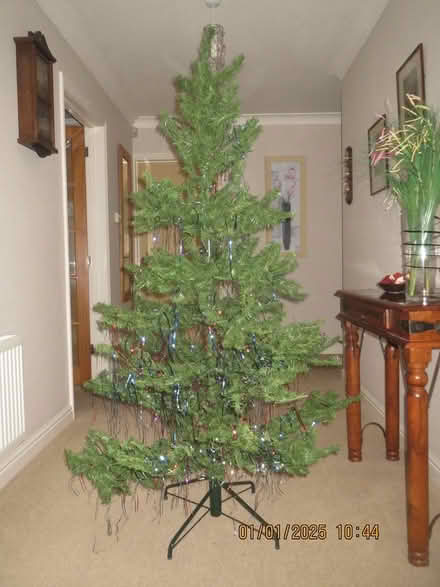 Photo of free 6 ft. christmas tree (Lowestoft north side) #1