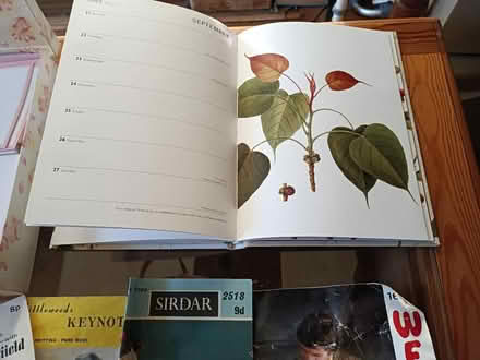 Photo of free Collection of odd items, to take singly or together. (Newport Pagnell MK16) #4