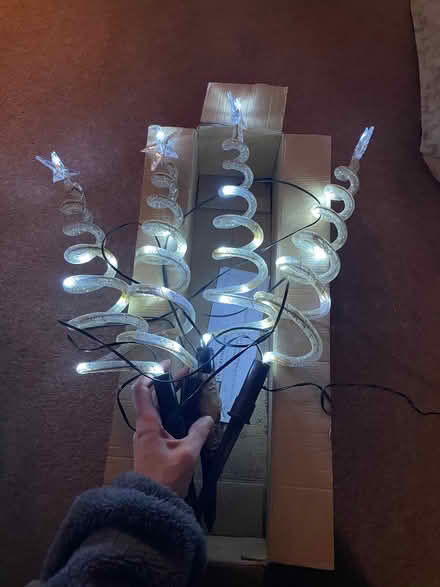 Photo of free Xmas tree path finders (Formby L37) #1