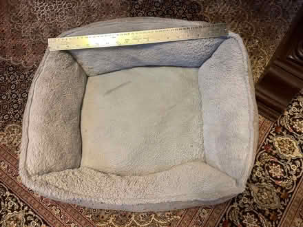 Photo of free Comfy Cat Bed (Kensington) #1