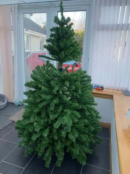 Photo of free Christmas tree (Alnwickhill EH16) #1