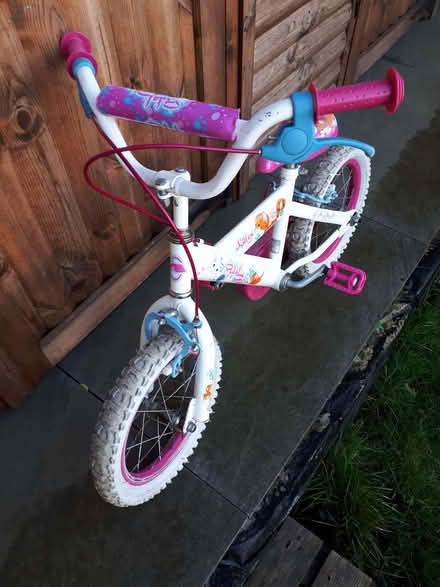 Photo of free Girl's 14 inch bike (Upminster RM14) #1