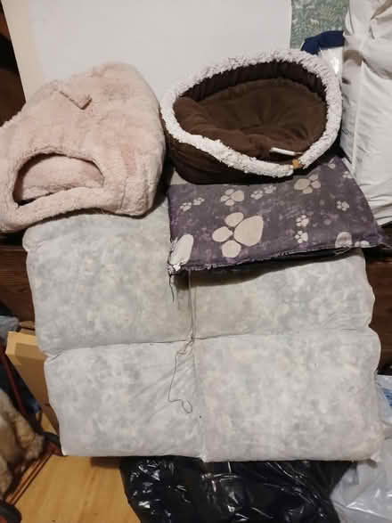 Photo of free Dog and cat mats (Milnthorpe) #1