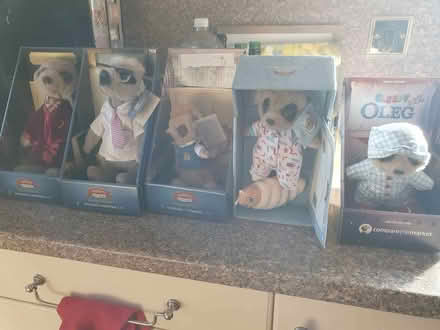Photo of free Meerkat Collection (Furzton MK4) #1