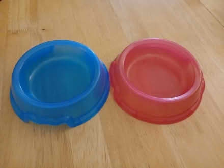 Photo of free Small mammal feeding bowls (Parkwood Rainham ME8) #1