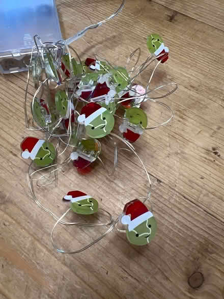 Photo of free String of sprout lights - broken (CH1 nr Racecourse) #1