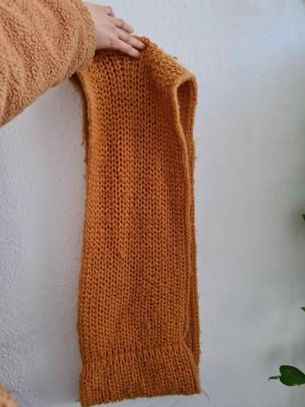 Photo of free Mustard yellow snood scarf (Wood green N22) #2