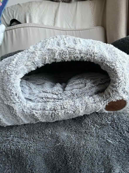 Photo of free Cosy cat bed (Writtle CM1) #2
