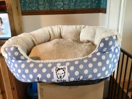 Photo of free Dog bed (Sutton Farm SY2) #1