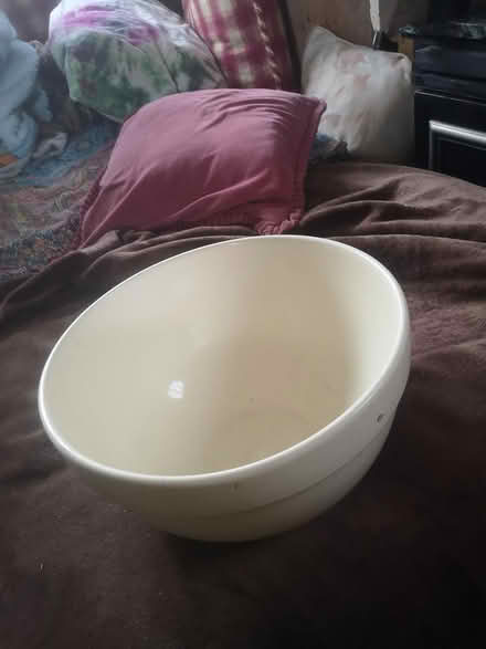 Photo of free Large pastry bowl (Gerrards Cross SL98TD) #3