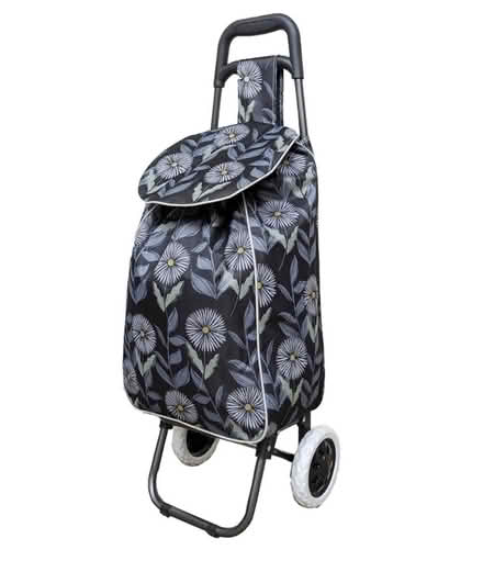 Photo of Shopping cart with wheels (Bury Park LU1 Luton) #1
