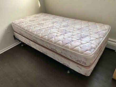 Photo of free Single Bed (Crystal Beach) #1