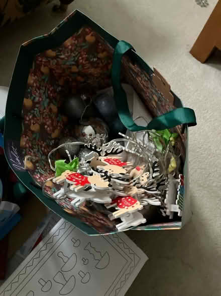 Photo of free Christmas decorations (Kingston KT2) #1