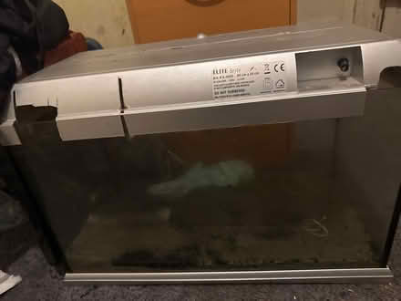 Photo of free Around 60 litre fish tank (Feltham) #1