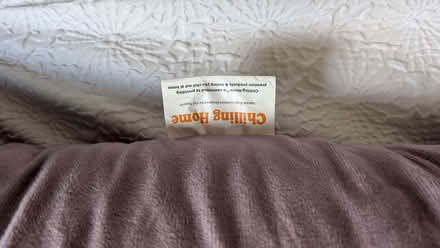 Photo of free Pregnancy Pillow (Acton W5) #2