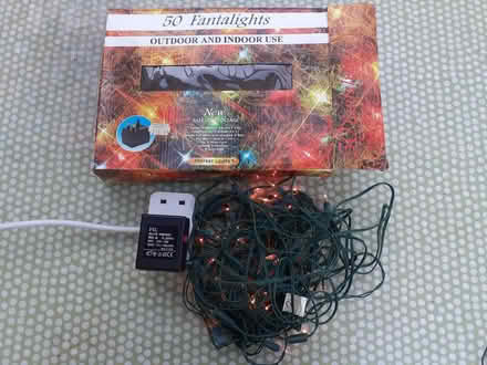 Photo of free Another Christmas tree light set (Lightwater Ward GU18) #1