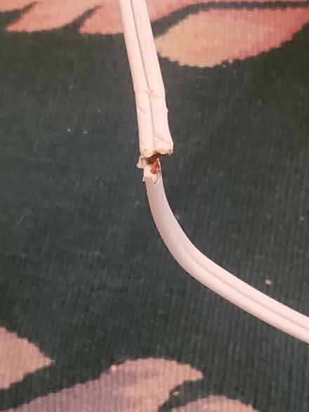 Photo of free 3-speed floor fan, needs new cord (Phinney Ridge) #2
