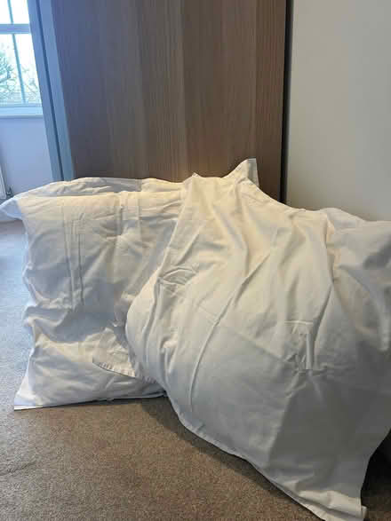 Photo of free Square pillows (Earlsfield SW18) #1