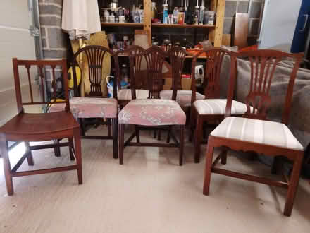 Photo of free Antique dining chairs (Saltford) #1