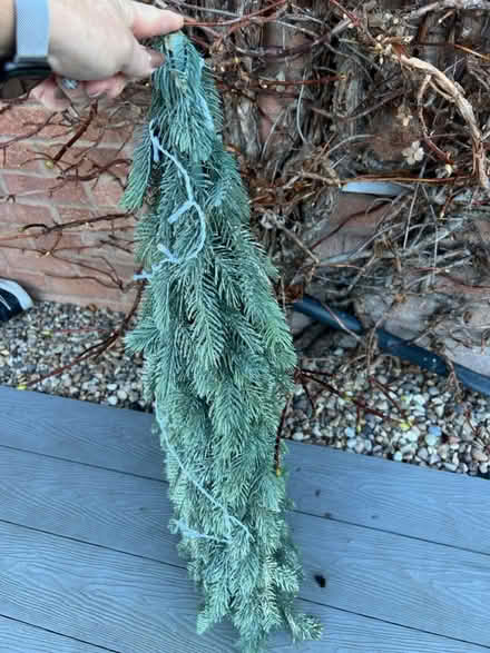 Photo of free Plastic Xmas tree (Syston - LE7) #3
