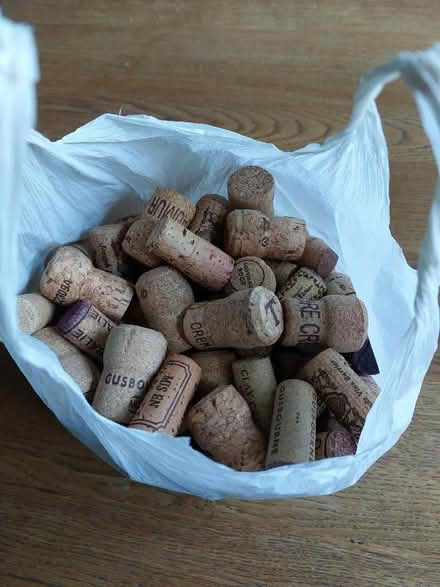Photo of free Corks for crafts (St Helens TN35) #1