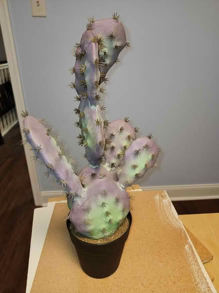 Photo of free Fake Cactus (Ambler) #1