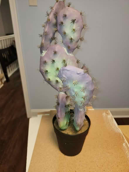 Photo of free Fake Cactus (Ambler) #2