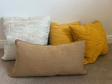 Photo of free Cushions (Earlsfield SW18) #1