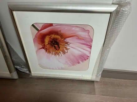 Photo of free Two Silver Framed Flower Prints (Covent Garden WC1R) #4