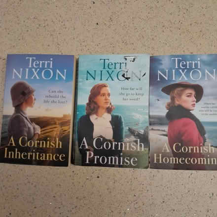 Photo of free The Fox Bay Saga byTerri Nixon (Hooks Cross) #1