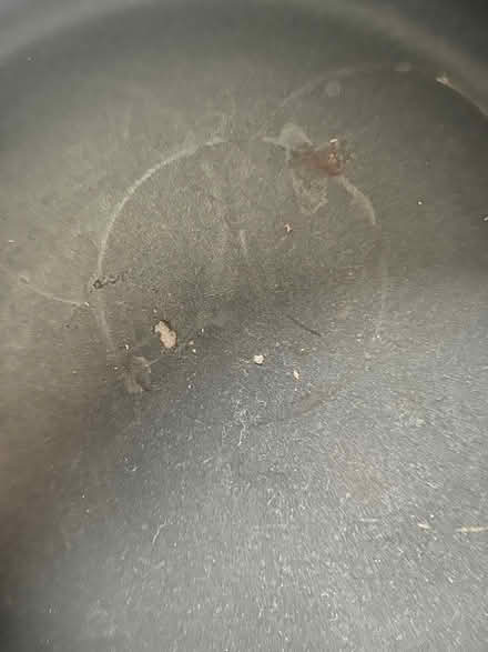 Photo of free Large frying pan (Cotteridge/Northfield) #2
