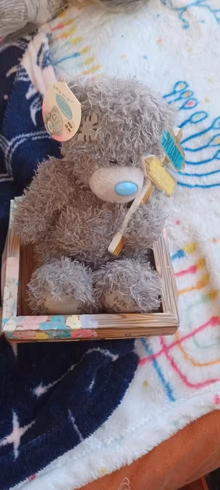 Photo of free Teddy (Leicester, LE3) #1