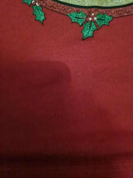 Photo of free Xmas T-shirt size 8 (Lightwood ST3) #2