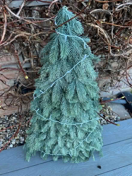 Photo of free Plastic Xmas tree (Syston - LE7) #1