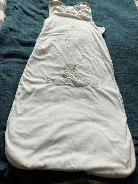 Photo of free Toddler sleeping bag (Whitecross OX13) #1
