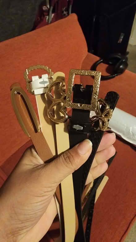 Photo of free Women's Fashion PU Leather Belts (EH4) #1